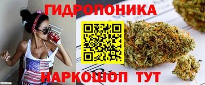 ГАЛЛЮЦИНОГЕННЫЕ ГРИБЫ Гусь-Хрустальный
